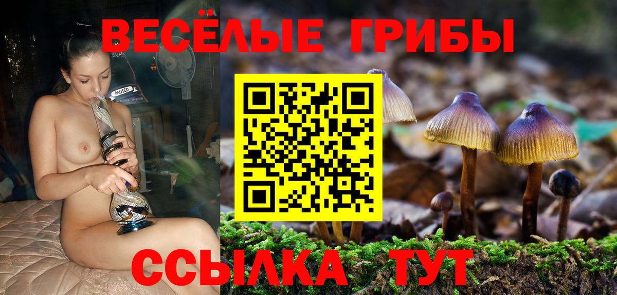 Добрянка  Галлюциногенные грибы Magic Shrooms  Псилоцибиновые грибы Magic Shrooms  Вход с VPN 